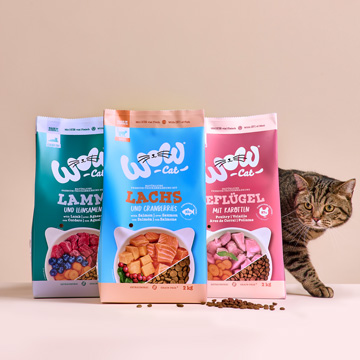 Aliments secs pour chats